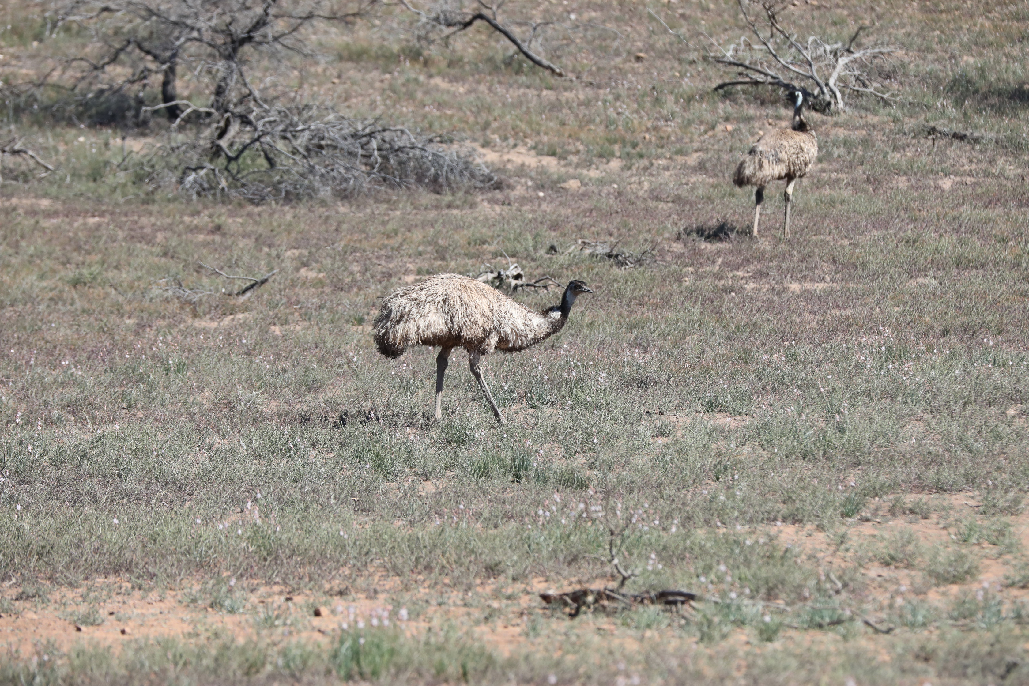 2019 09 01 10 58 01 Canon EOS 5D Mark IV 0006